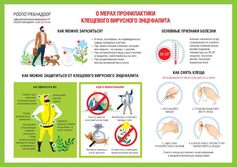 ОСТОРОЖНО. КЛЕЩИ!.